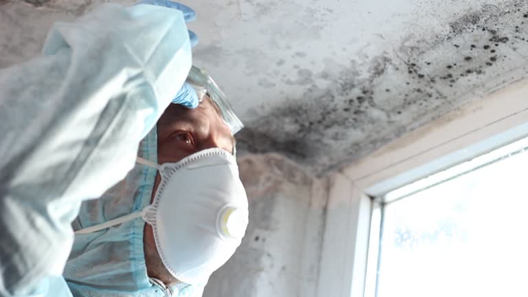 Best Biohazard Mold Removal  in Lake Linden, MI